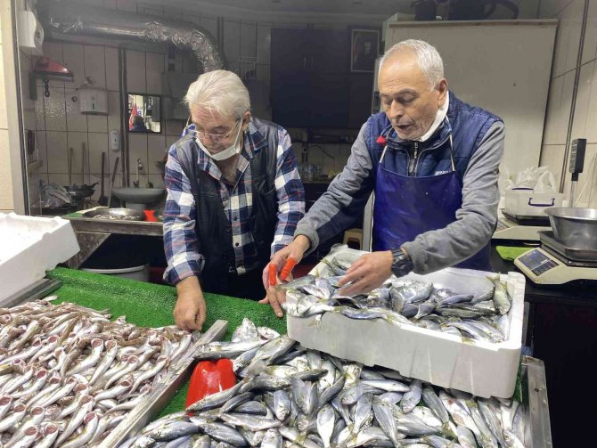 Hamsinin Yerini İ̇stavrit Aldı