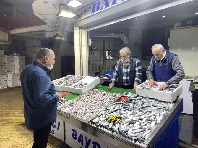 Hamsinin Yerini İ̇stavrit Aldı