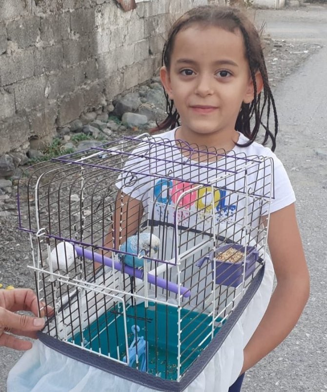 İ̇tfaiyeciler Kafesinden Kaçan Muhabbet Kuşu İçin Seferber Oldu
