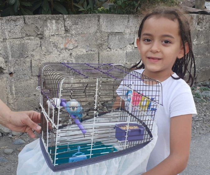 İ̇tfaiyeciler Kafesinden Kaçan Muhabbet Kuşu İçin Seferber Oldu