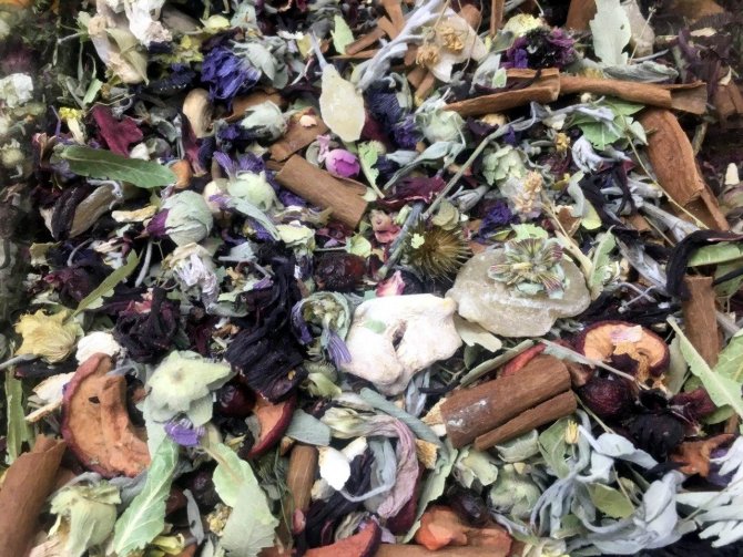 Gribin İlacı ‘Kış Çayı’