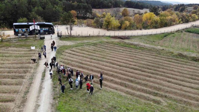Yerli Ve Yabancı Turistlerin Gözdesi ’Safran Tarlaları’ İlçe Turizmini Hareketlendirdi