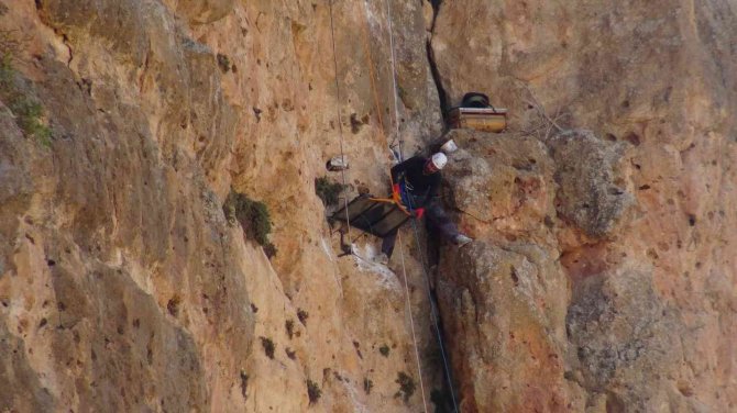 150 Metrelik Kayalıklardan Şifa Kaynağı Olan Kaya Balını Topladı