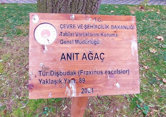 Tekirdağ’da İki Devlet Gören Tabiatın Sessiz Tanıkları
