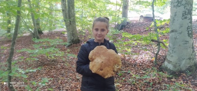 Mantar Avcısı Minik Kız 2 Kiloluk Dev Mantar Buldu