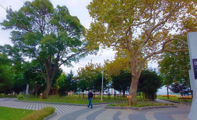 Tekirdağ’da İki Devlet Gören Tabiatın Sessiz Tanıkları