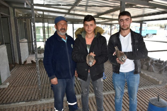 Bölgenin Tek Kınalı Keklik Üretim Tesisi İ̇nönü’de