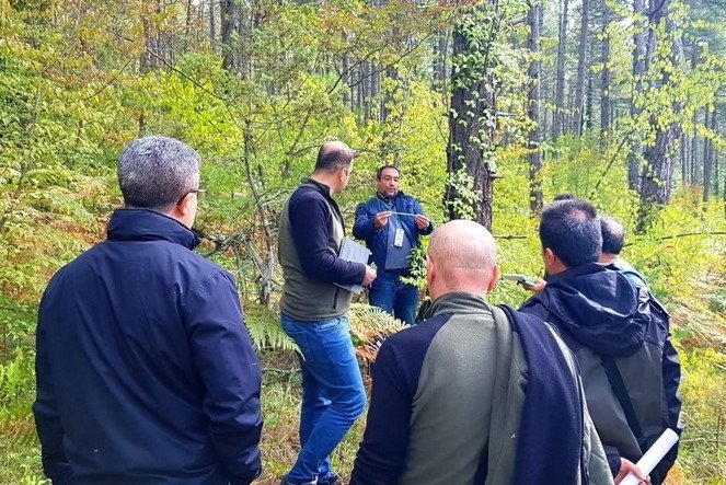 Ulusal Orman Envanteri Çalışmaları Devam Ediyor