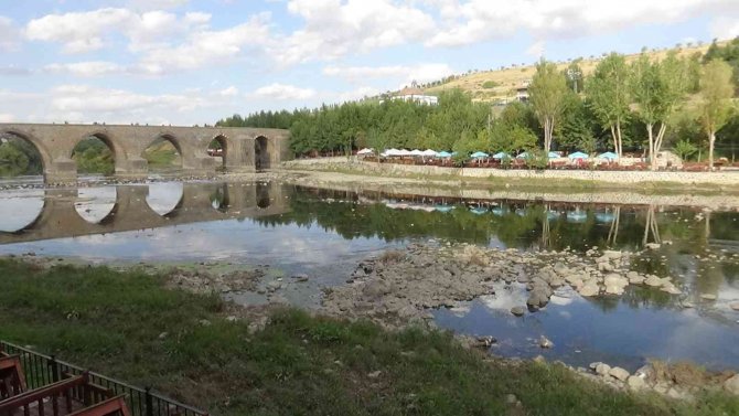Dicle Nehri’nde Balık Ölümleri Vatandaşları Tedirgin Etti