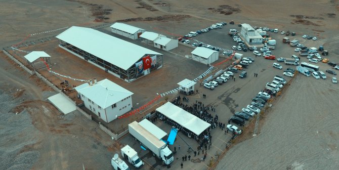 Horasan’da Canlı Hayvan Pazarı Ve Mezbahana Açılışı
