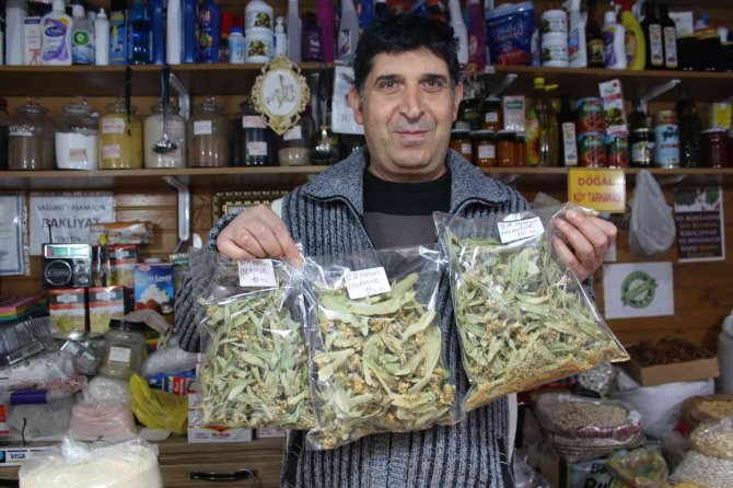 Gribe Kalkan Ihlamurun Kilosu 400 Lira