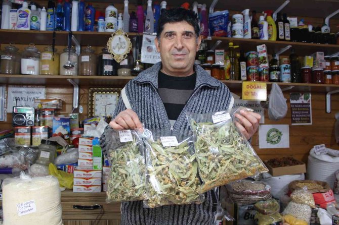Gribe Kalkan Ihlamurun Kilosu 400 Lira
