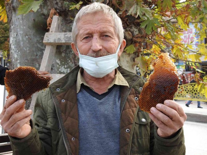 Kaçak Kraliçe Arı, 10 Bin Arıyla Bulundu