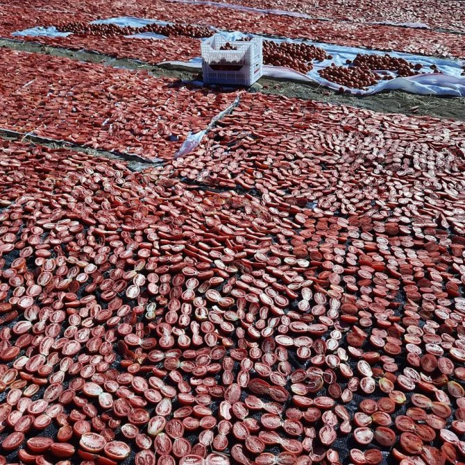 Kaynarca Kırmızıya Büründü