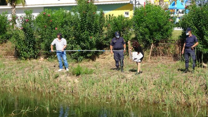 Nifrit Deresi’nde Balıklar Kirlilikten Oksijensiz Kaldı