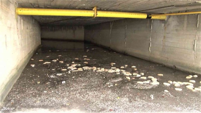 Maltepe’de Çamaşırcı Deresi’nin Lağım Kokusu Ve Çöpü Esnafı Vurdu