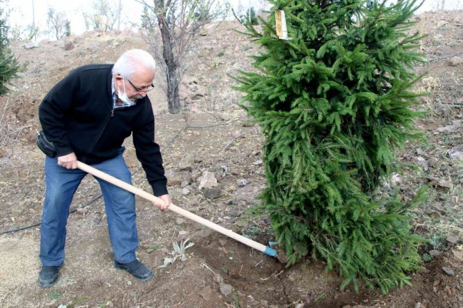 Muhtarlar Bademlidere’ye Fidan Dikti