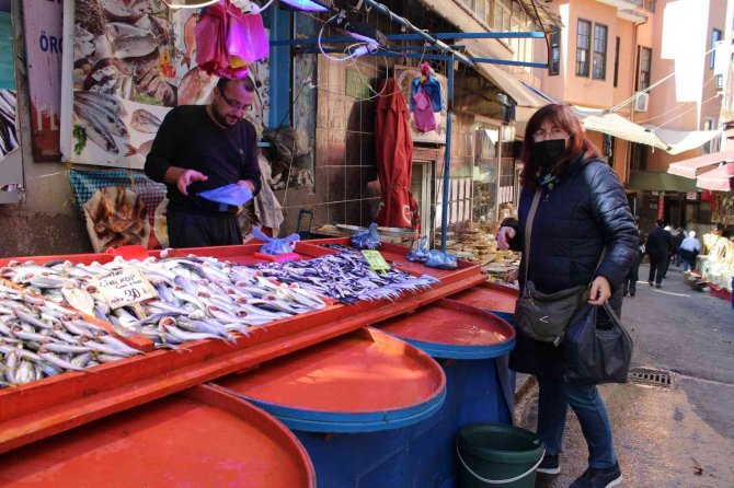 Balıkların Padişahı Çinekop Ucuzlayınca Kapışıldı