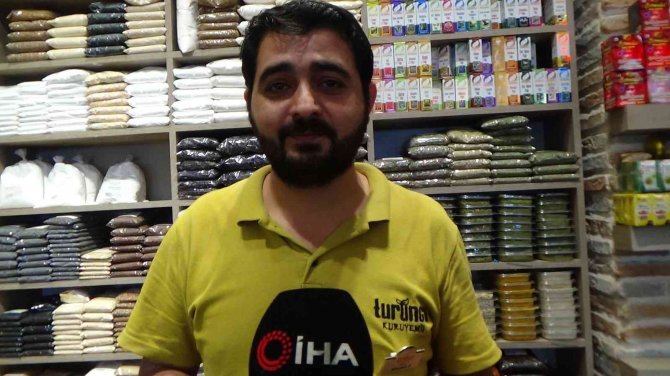 Ihlamur ’Yeşil Altın’ Olma Yolunda İlerliyor