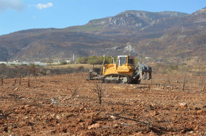Yanan Sahalarda Fidan Dikim Hazırlıkları
