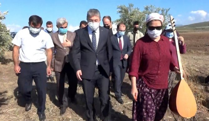 Osmaniye’de Zeytin Hasadı Sazlı Türkülü Başladı
