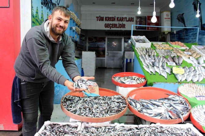 Karadeniz’deki Balık Bolluğu İ̇ç Anadolu’da Hissedilmedi