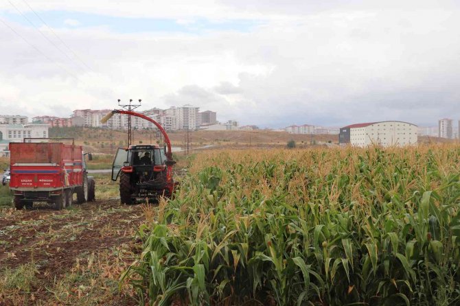 Sivas’ta Tarımsal Hasıla 7 Milyar Lirayı Aştı