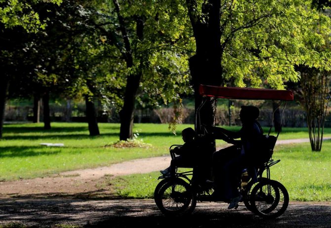 Botanik Park’ta Sonbaharla Birlikte Renkli Görüntüler