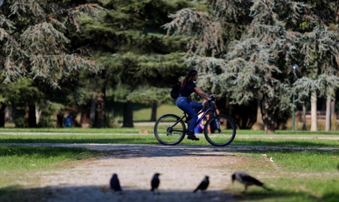 Botanik Park’ta Sonbaharla Birlikte Renkli Görüntüler
