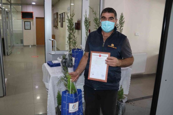Tapuya Gidene Fidan Hediye