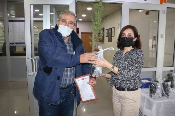 Tapuya Gidene Fidan Hediye