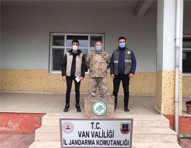 Van’da Kafes Avcılığı Yapan 5 Kişi Jandarmaya Takıldı