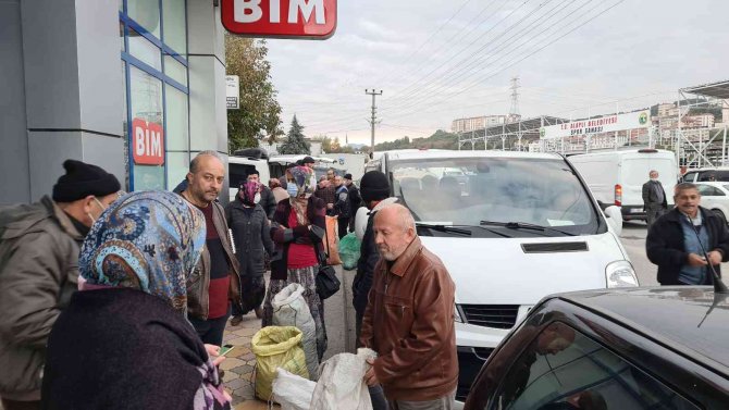Türkiye’nin Kestane Borsası Alaplı’da Kuruluyor