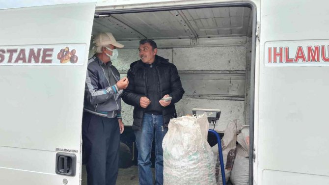 Türkiye’nin Kestane Borsası Alaplı’da Kuruluyor