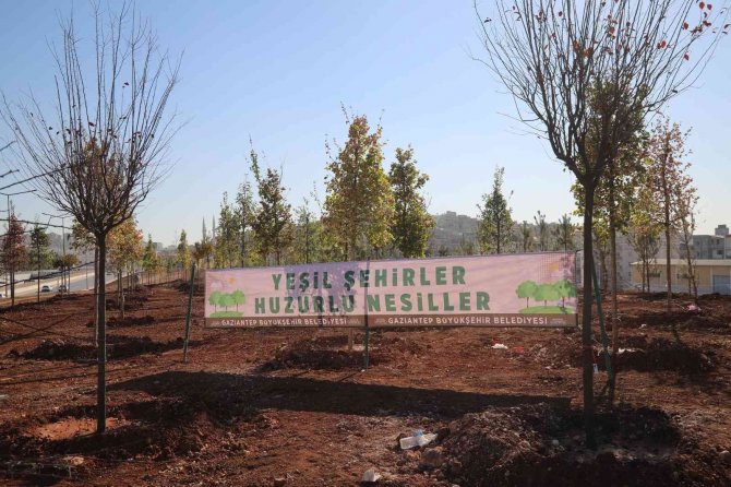 Gazaintep’te 27 Milyon Fidan Hedefi İçin Ağaç Dikim Başladı