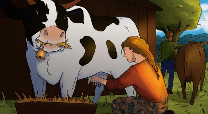 Dpü Güzel Sanatlar Fakültesi Öğrencilerine Çizim Tablet Verildi