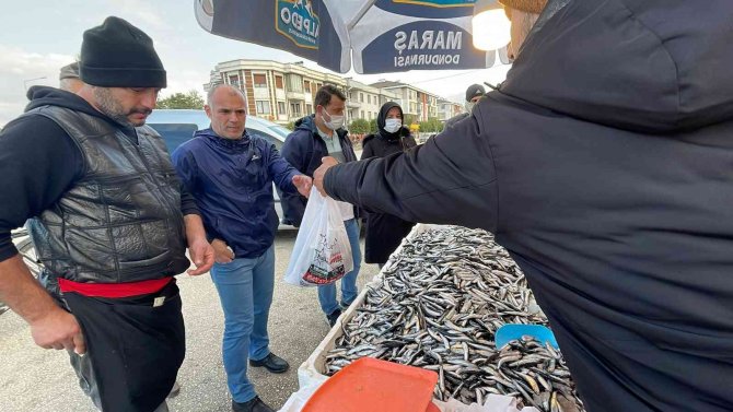 Hamsi Tezgahları Şenlendirdi, Fiyat 10 Liraya Kadar Düştü