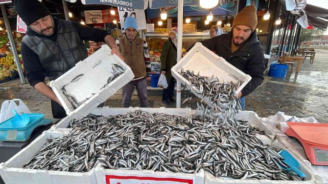 Hamsi Tezgahları Şenlendirdi, Fiyat 10 Liraya Kadar Düştü