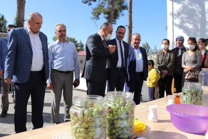 Kadın Çiftçilere Zeytin Salamurası Ve Turşu Yapımı Eğitimi Verildi