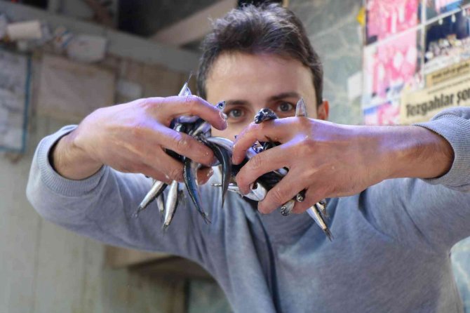 Karadeniz’in İncisi ’İri Hamsi’ 15 Liradan Kapış Kapış Gidiyor