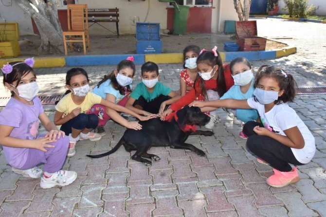 Tarsus’ta Öğrencilere Hayvan Sevgisi Aşılayacak Adım