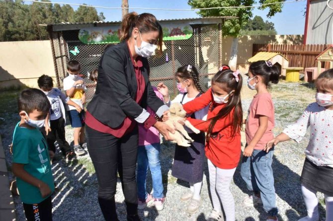 Tarsus’ta Öğrencilere Hayvan Sevgisi Aşılayacak Adım