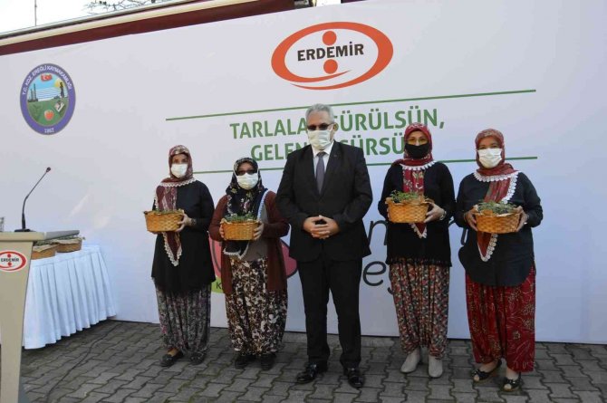 Osmanlı Çileği Fideleri Üreticilerle Buluştu, Coğrafi İşaret Aldı