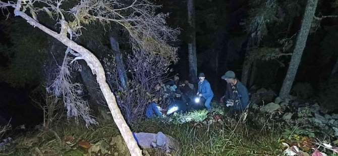 Odun Keserken Uçuruma Düşen Kişi Kurtarıldı