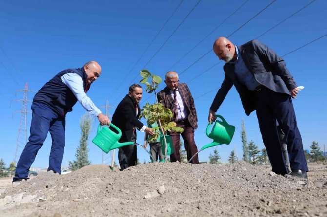 Başkan Çolakbayrakdar: “Dikilen Her Bir Ağaç, Geleceğe Bırakılan En Büyük Mirastır”