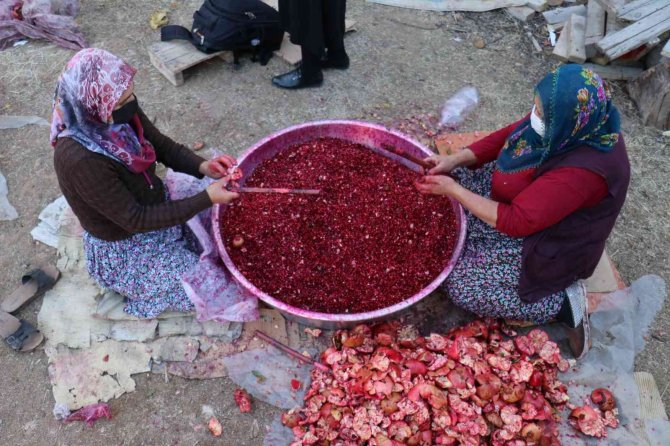 Nar Ekşisi Malatyalı Kadınların Ek Gelir Kapısı Oldu