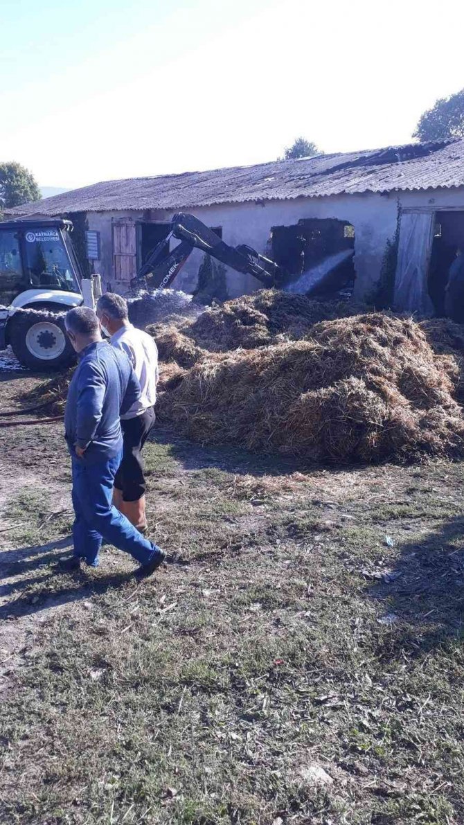 Tavuk Çiftliğinde Çıkan Yangın 200 Balya Samanı Kül Etti