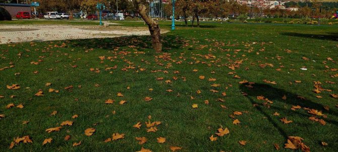 Tekirdağ’da Sonbahar Güzelliği: Sahil Alanda Renk Cümbüşü Yaşanıyor