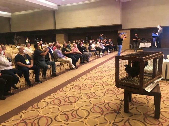Yetiştirmesi 6 Ay Sürüyor, Tanesi 3 Bin 500 Liradan Alıcı Buluyor