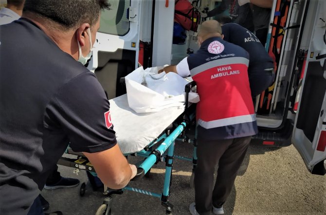 Henüz 13 Aylıkken Türkiye’nin 3 Bölgesini Gezdi, Hayata Elazığ’da Tutundu